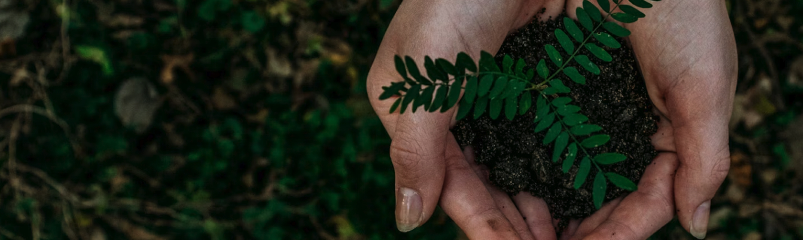 Pequenos gestos,  grandes impactos