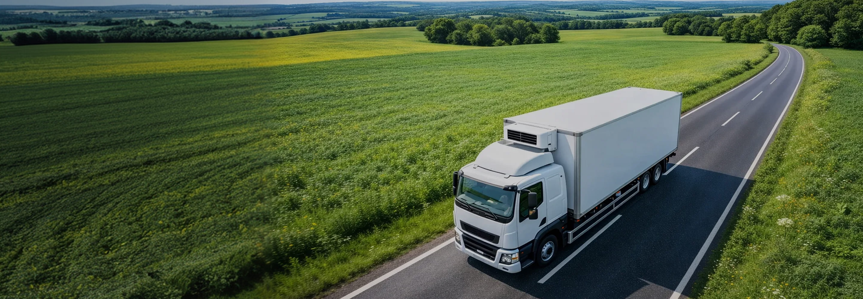 PARCERIAS DE SUCCESSO